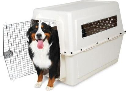 Vari Kennel flybur (L) leies ut