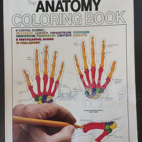 Anatomy coloringbook For studenter og alle som vil lære . trn 190