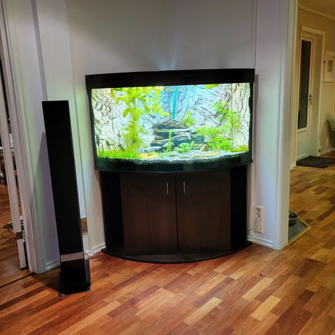 Hjørneakvarium 390 liter - Wromak