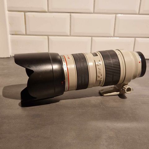 Canon EF 70-200mm f/2.8 L