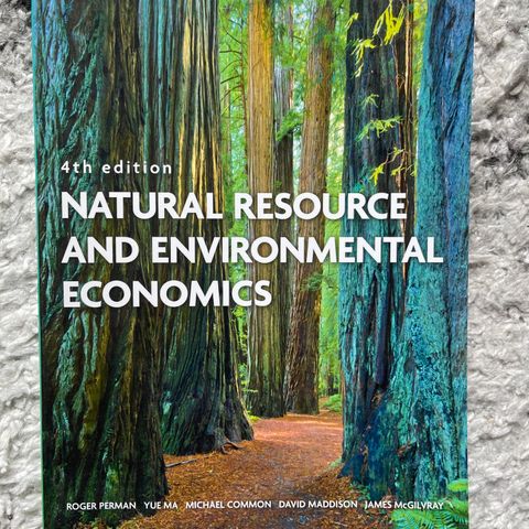 Natural Resource Economics Perman