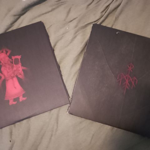 2 stk Wardruna vinyl skiver