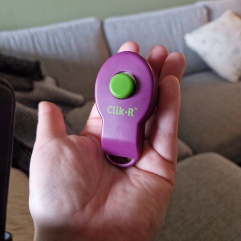 Petsafe Clik-r m/fingerbånd