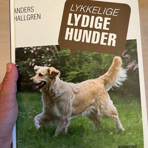 Lykkelige lydige hunder