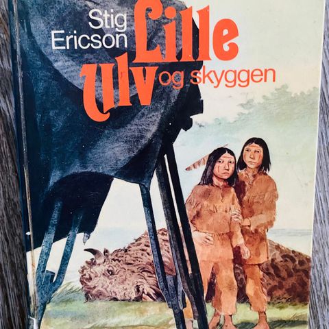 Bok Lille ulv og skyggen av Stig Ericson