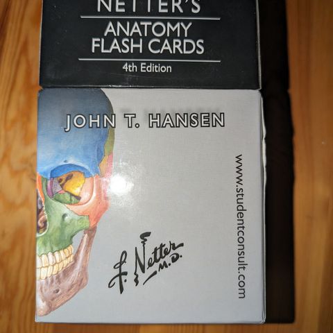 Netters Anatomy Flash Cards