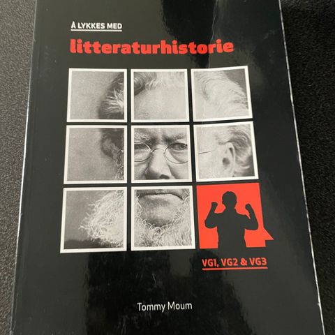 Å lykkes med litteraturhistorie (bok)