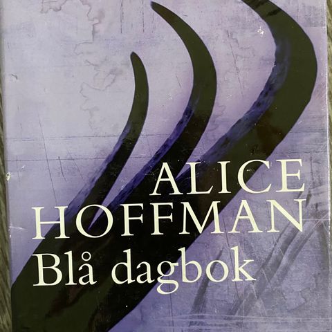 Bok Alice Hoffman Blå dagbok