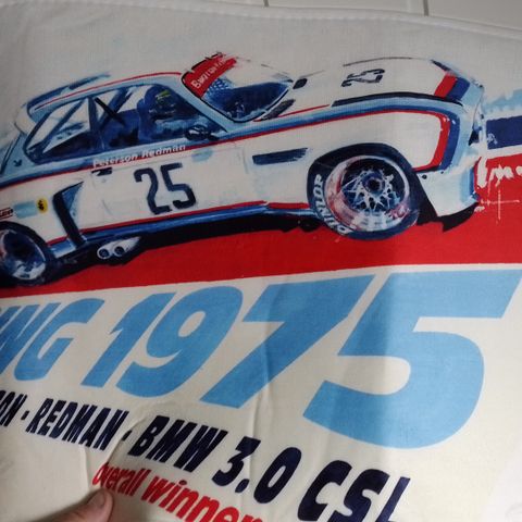 Bmw 3.0 CSL Sebring 1975 winners (sitteunderlag)