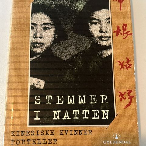 STEMMER I NATTEN bøken/ bok/book