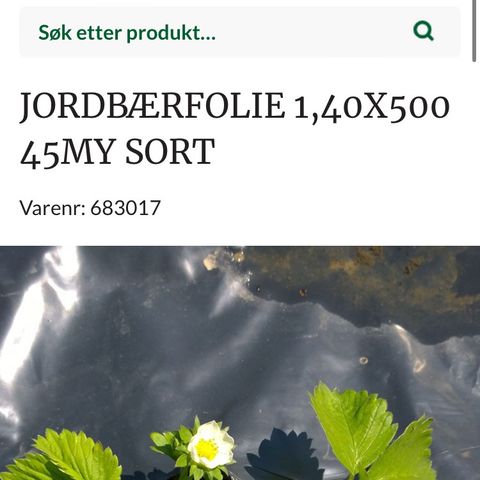 Jordbærfolie / jorddekke 500 m Uåpnet