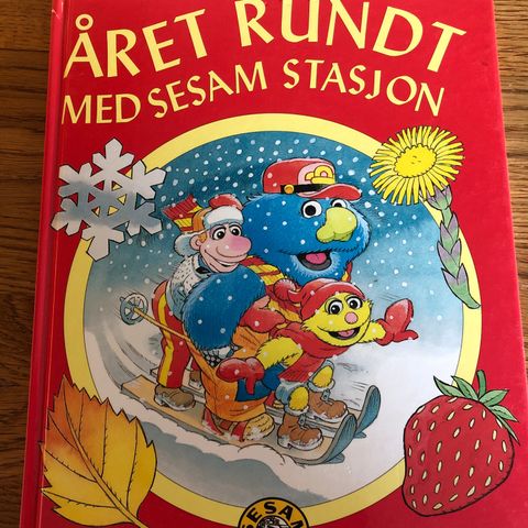 Året rundt med Sesam stasjon - 1996