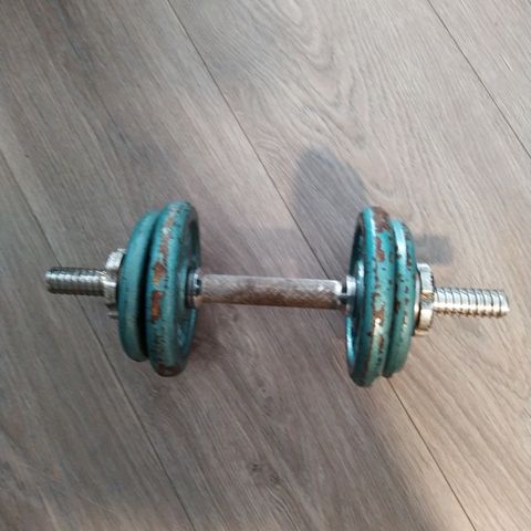 9.4 kg dumbell