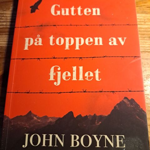 Gutten på toppen av fjellet