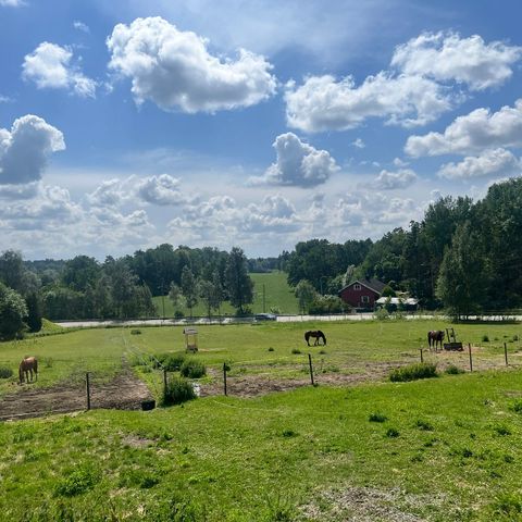 LEDIG STALLPLASS på Krabberød🐴 Fredrikstad