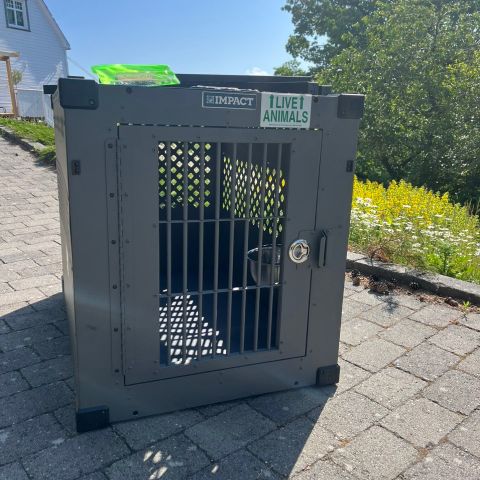 Impact Dog Crate - TSA Approved