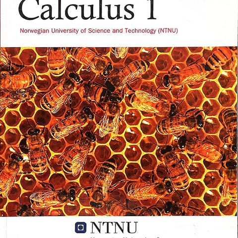 CALCULUS 1 (NTNU)