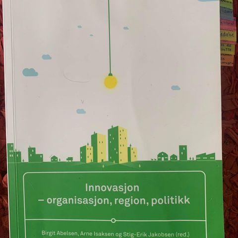 Innovasjon - organisasjon, region, politikk