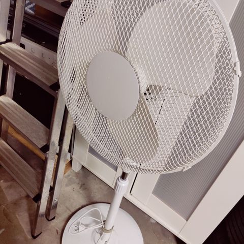 Ventilator, fan