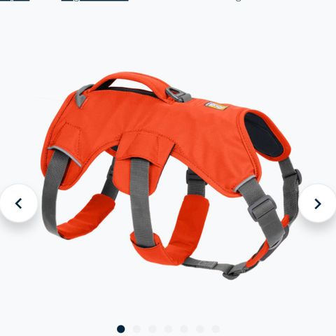 Ruffwear Web Master sele M