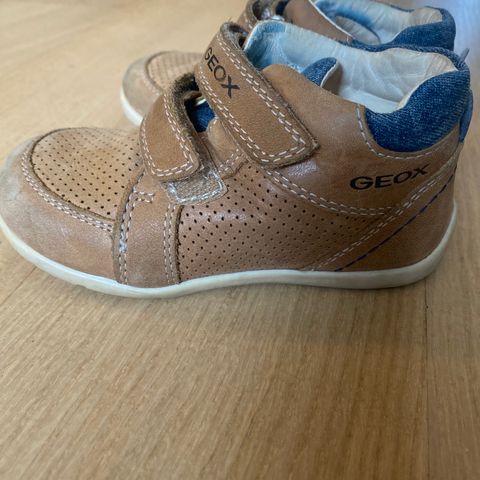 Geox 24