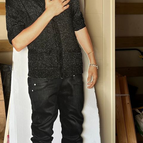 Justin Bieber- helfigur i papp