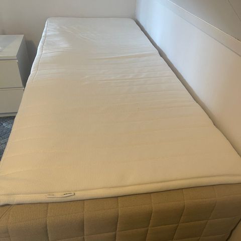 Single Bed with Top mattress