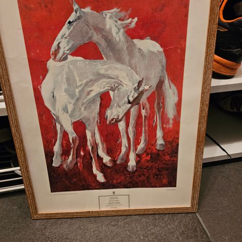 Ricardo Arenys White horses