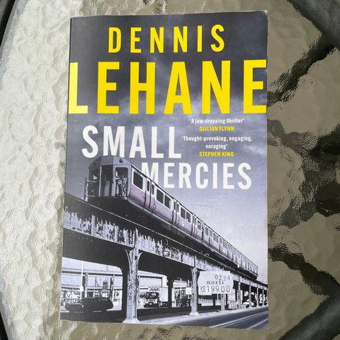 Bok: Dennis Lehane: Small mercies (i god stand)