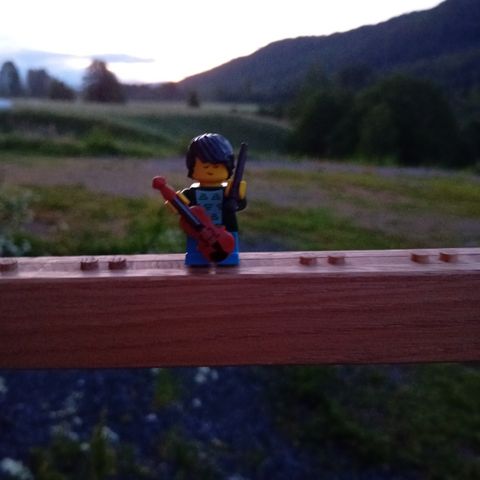 LEGO Figur utstilling i tre