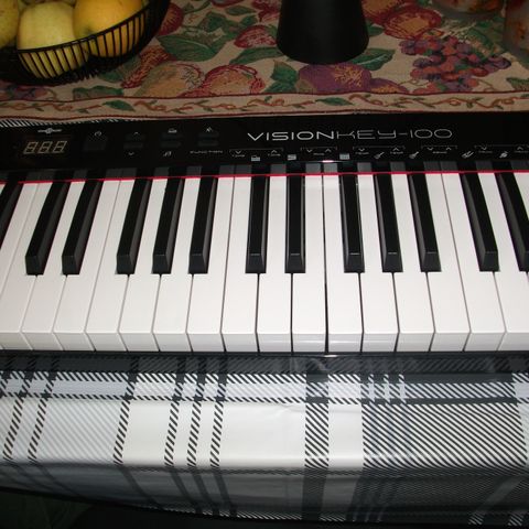 Keyboard/Orgel