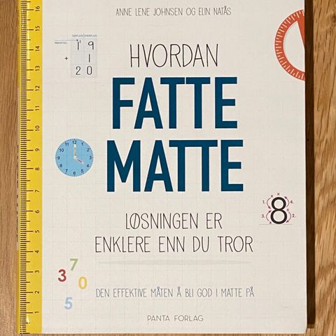 Hvordan fatte matte - Anne Lene Johnsen og Elin Natås