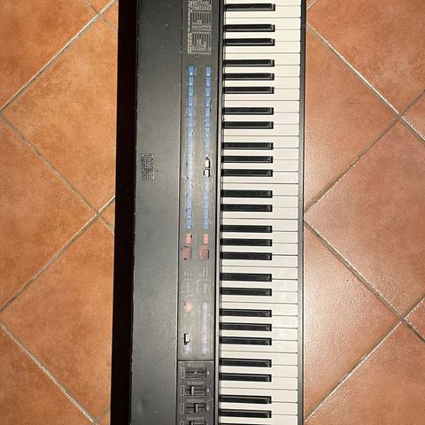 Yamaha kx88 + General Music PIANO EXPANDER module