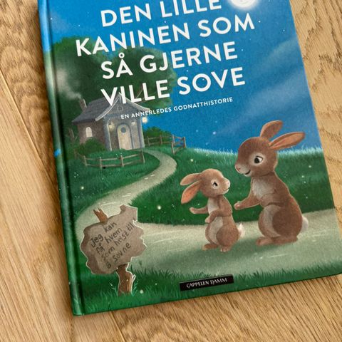 Den lille kaninen som så gjerne ville sove