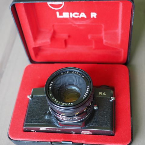 Summicron R-50mm for Leica R