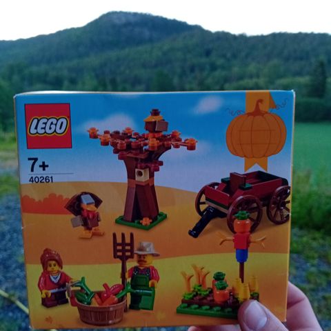 LEGO Thanksgiving 40261