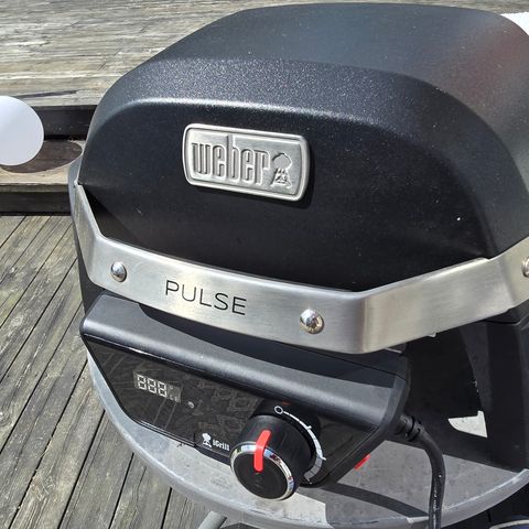 Weber pulse 1000