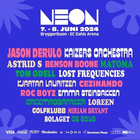 Neon festival VIP helgepass