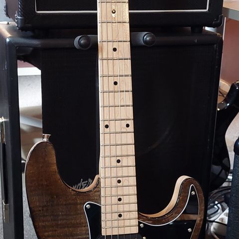 Stratocaster type gitar