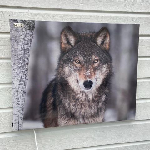 IR (infrarød varme) panel med vakkert ulvemotiv