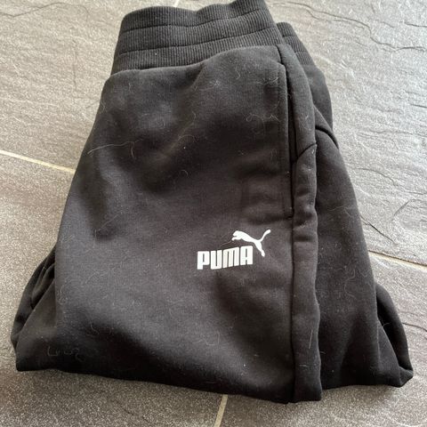 Trening bukse/ Puma