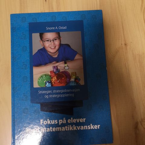 Fokus på elever med matematikkvansker