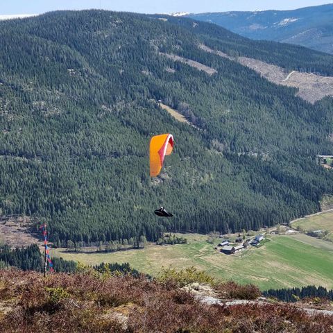 Paraglider Gin Boomerang 12  - ccc-vinge  NY PRIS