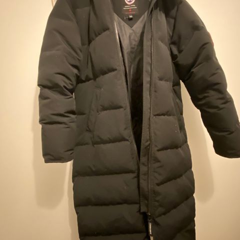 Canada Goose. Str L. Brukt