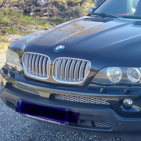 Bmw x5 e53 panser grill