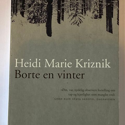 Roman Bok Heidi Marie Kriznik Borte en vinter