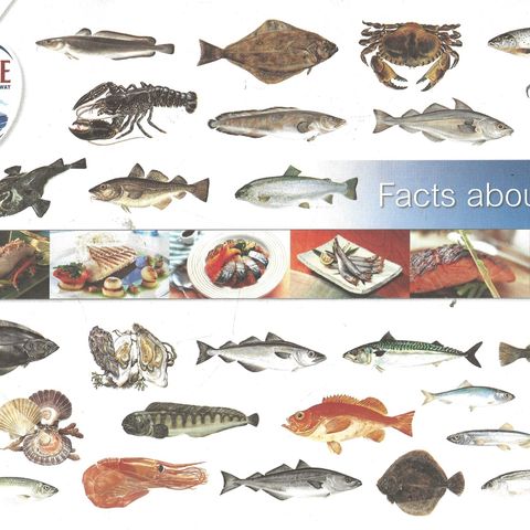 Facts about fish  - Utgitt av NORGE Seafoods from Norway