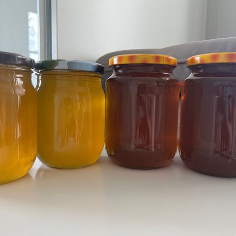 Honning 100% Økologisk FLYTENDE tatt ut fra kubben 3 juni.