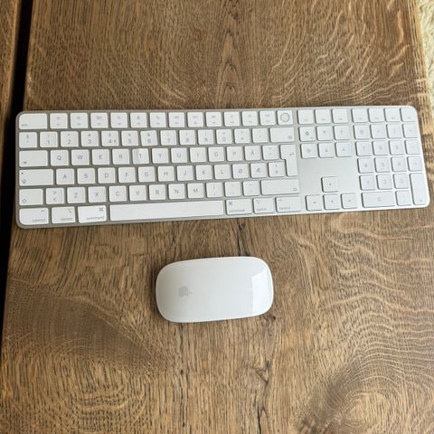 Magic Keyboard  (model a2520) med touch + Magic Mouse