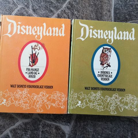 Disneyland bøker